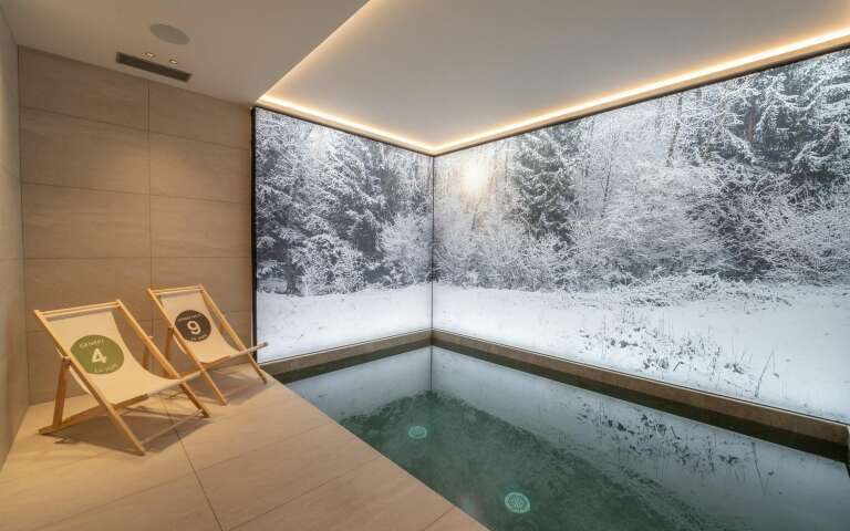 luxury indoor splash pool with decorated wallpaper