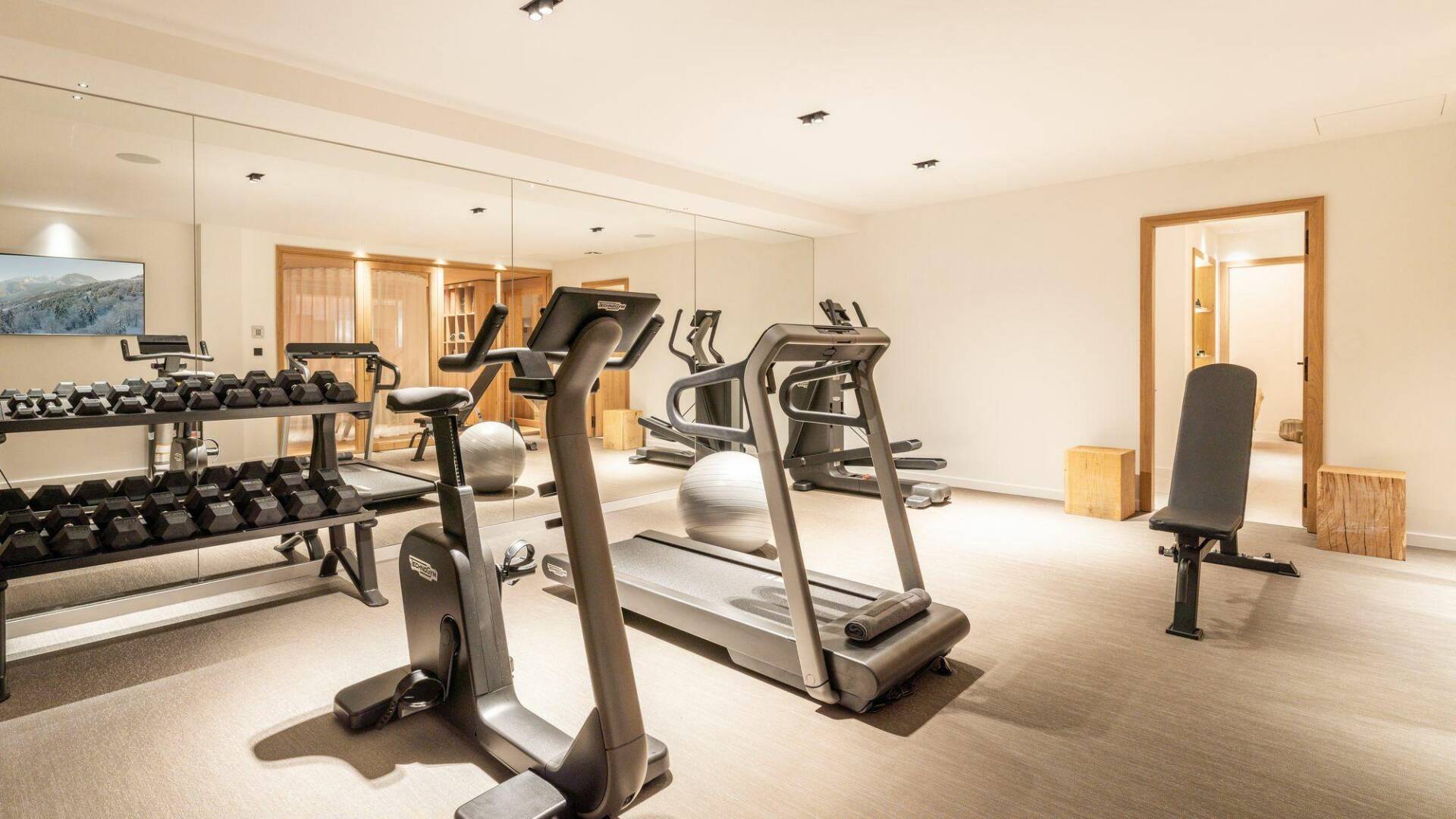 gym equipment