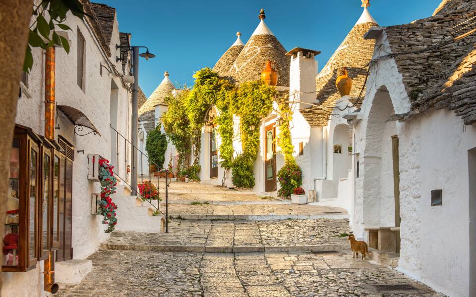 Discovering Puglia: Alberobello