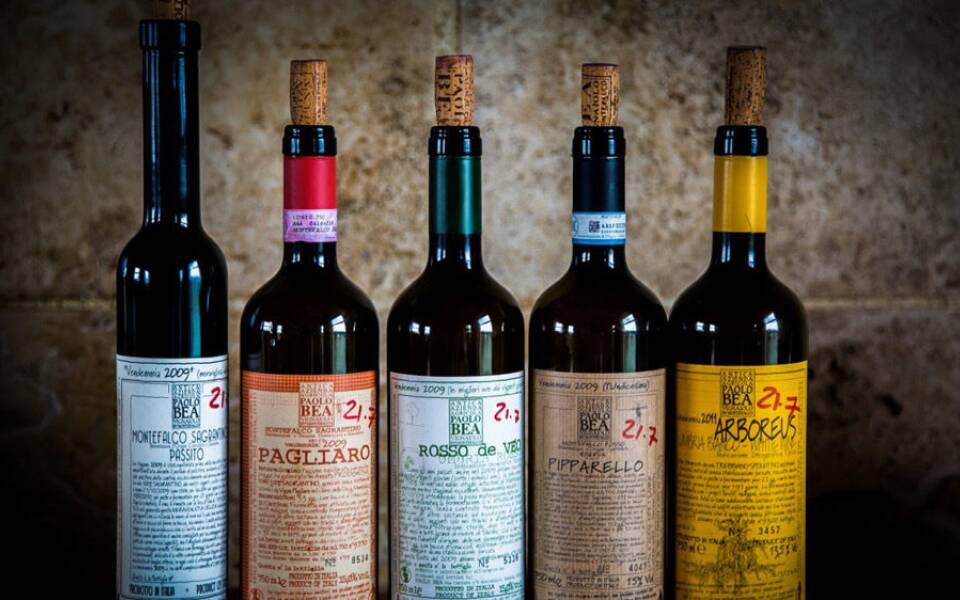 Even the prestigious Forbes magazine celebrates the Sagrantino di Montefalco