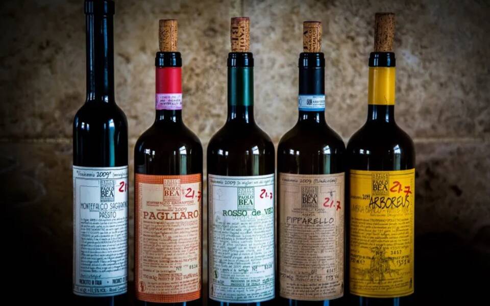 Umbria’s Sagrantino di Montefalco praised by Forbes