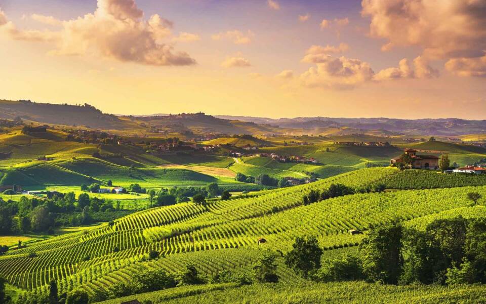 Refined wines of Piedmont; the most famous red and white wines in the world