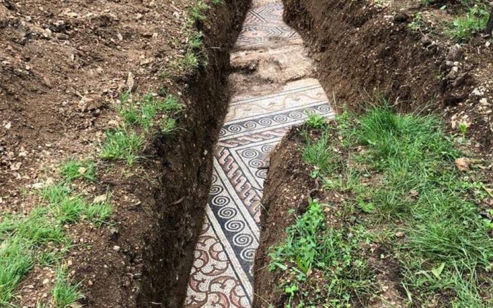 Great discovery! A Roman mosaic beneath the Amarone vineyards