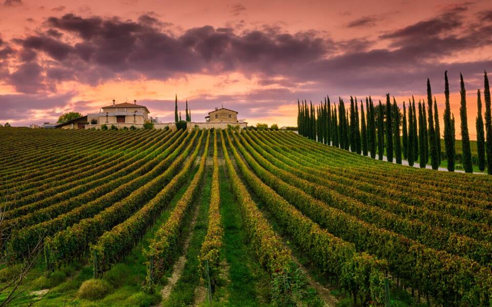 The best wineries in Umbria