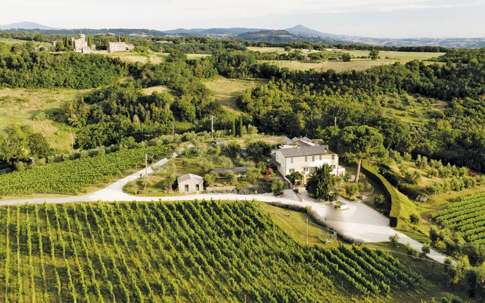 Cantine Aperte, the art of Italian wine and luxury living in Umbria