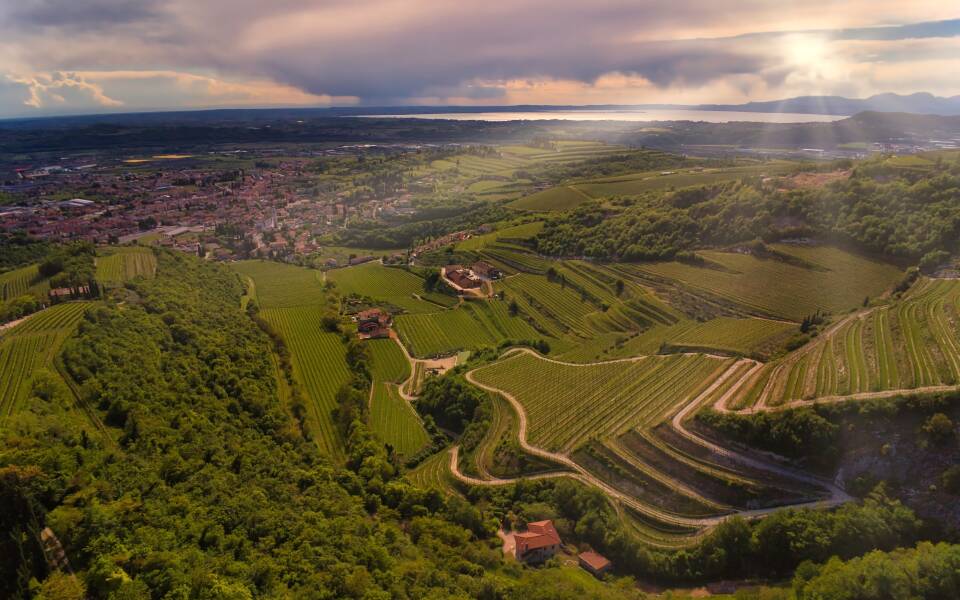 Top 5 wineries in Lake Garda area